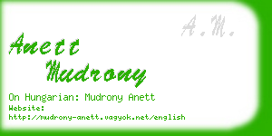 anett mudrony business card